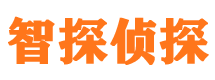 临夏市私家侦探